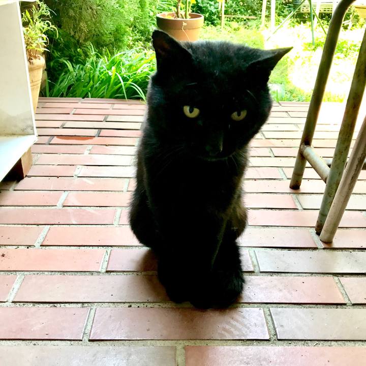 35b111b4 cc53 4fba 9f91 d7f17bd1579b