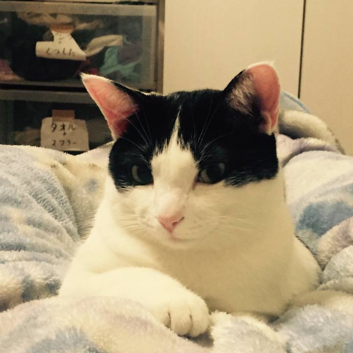 35b24887 5eb2 4167 8766 9a43eeba9b8b