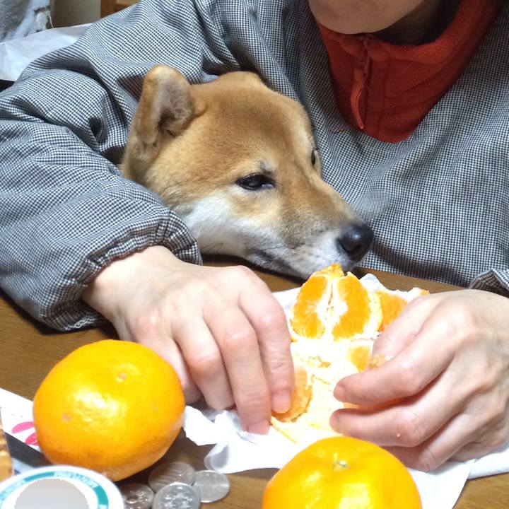 35b27f01 016b 4206 bb40 f8f47ce94fb5