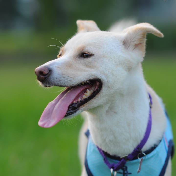 35b2a31a c659 4e9e 9f7c b06175421bb4