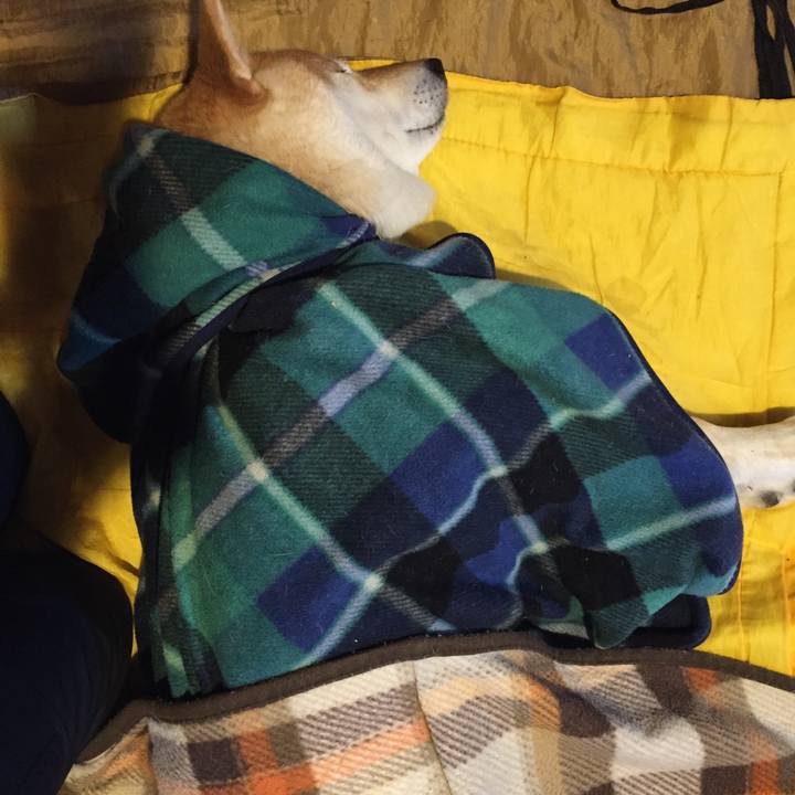 35b2fa4a ecc2 4e09 996a 10b26705ca6c