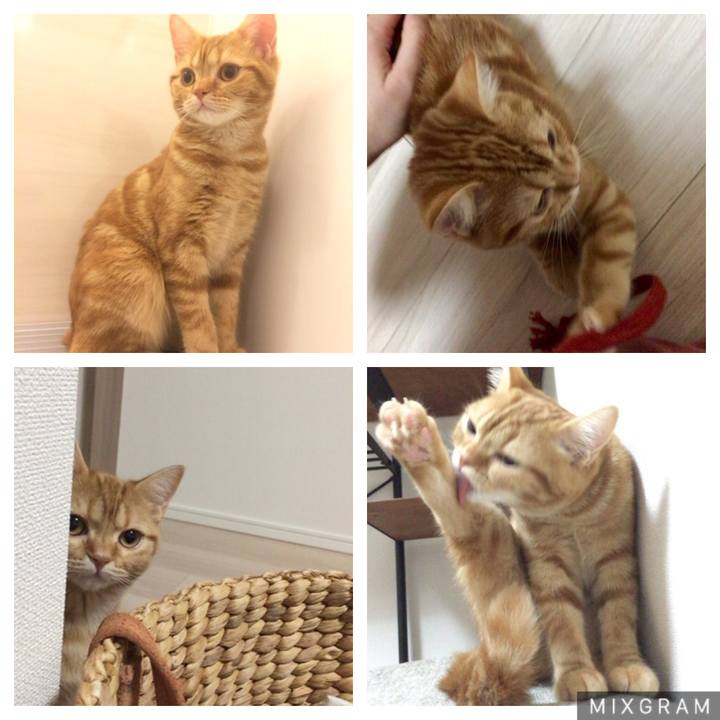 35b36a5b 1b69 48b6 bcd3 358eb60a40b2