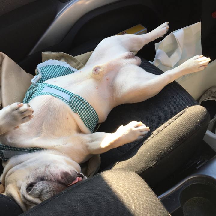 35b38303 65bc 4dac b28d 46d8cc37692e