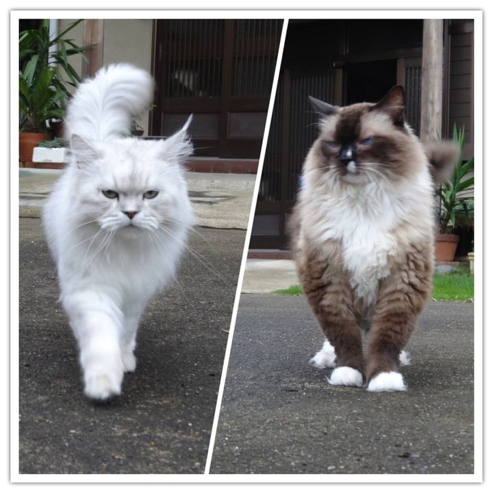 35b4ff16 f660 4130 8754 d00e88956eaa