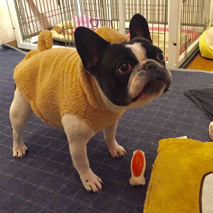 35b516f4 5fdc 4a52 97ab 41475f15c6e6