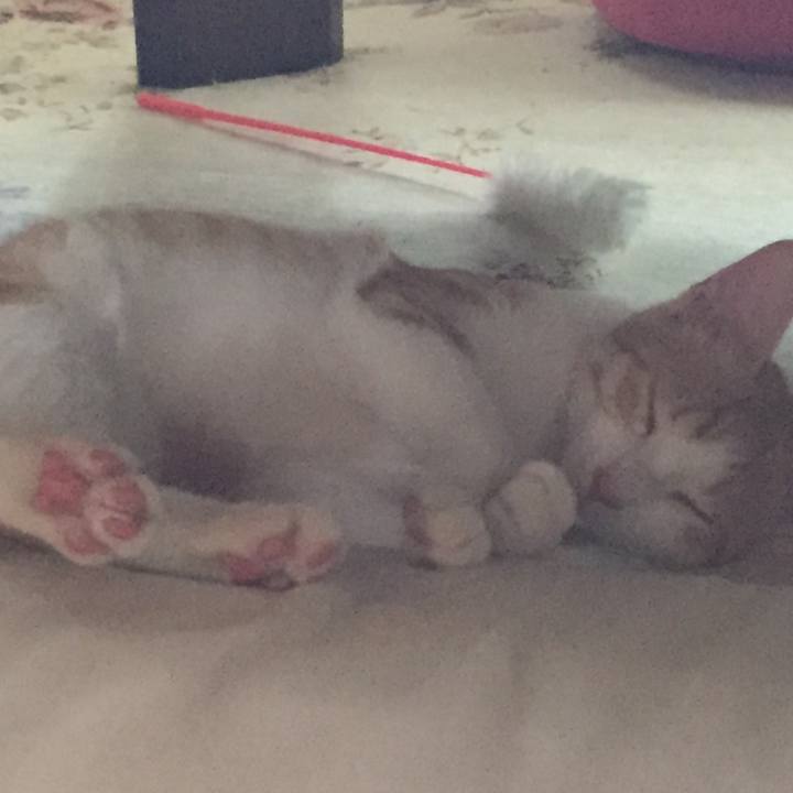 35b53964 7217 45f3 b6ec 6c4e45becdac