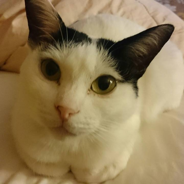 35b571c2 070d 4bdf a8df 7d5db7d40c23