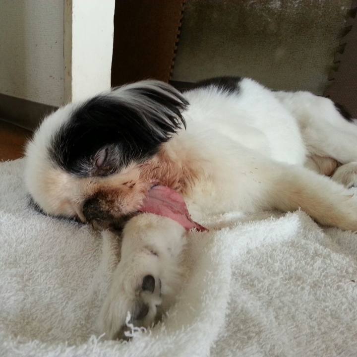 35b58fcd bdf7 4f2b a58e be2fef9601ed