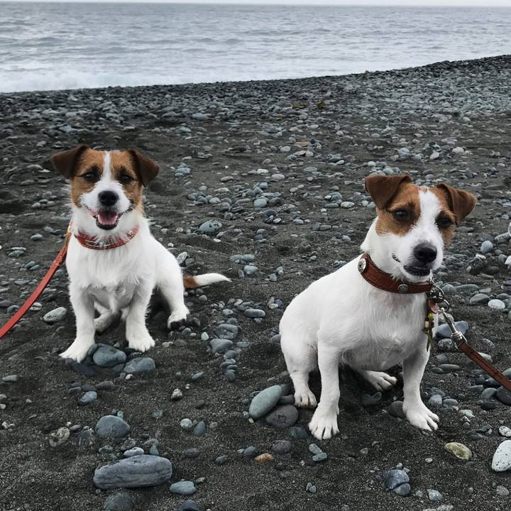 35b5b20d 8b01 4ac7 9315 1335fa06769d