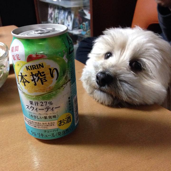 35b64d26 7e89 486e b795 e2d58ef72f32