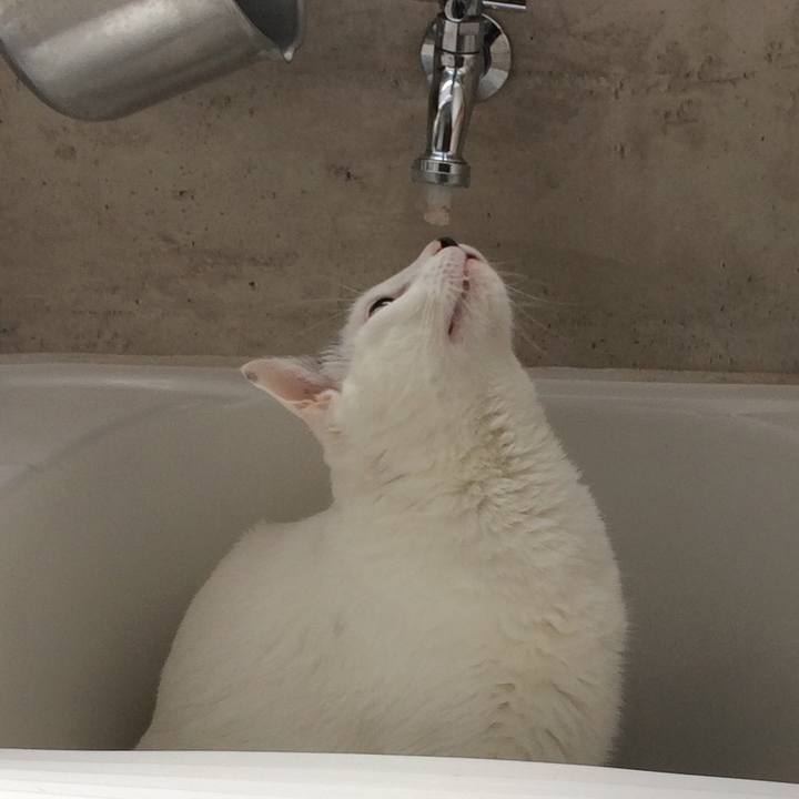 35b7c286 d05f 459b 835f a85a9a7d5343