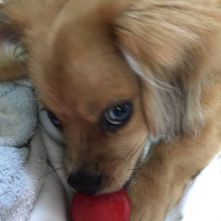 35b8029c 601c 48f5 b2d8 5ab77533b21c