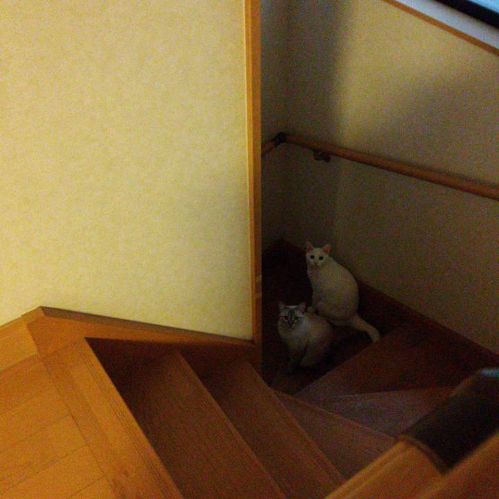 35b81074 9dfb 4cdb 9b83 0ec7660c9859