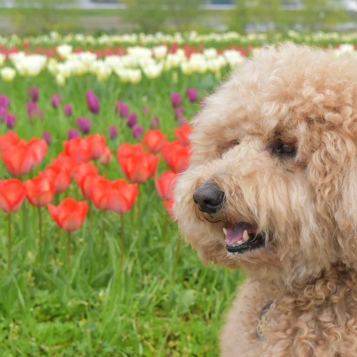 35b81124 8b4b 452e af82 88783123d56a