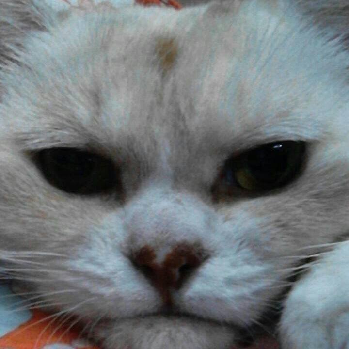 35b8eba1 2778 4d3c abea 3d805e385715