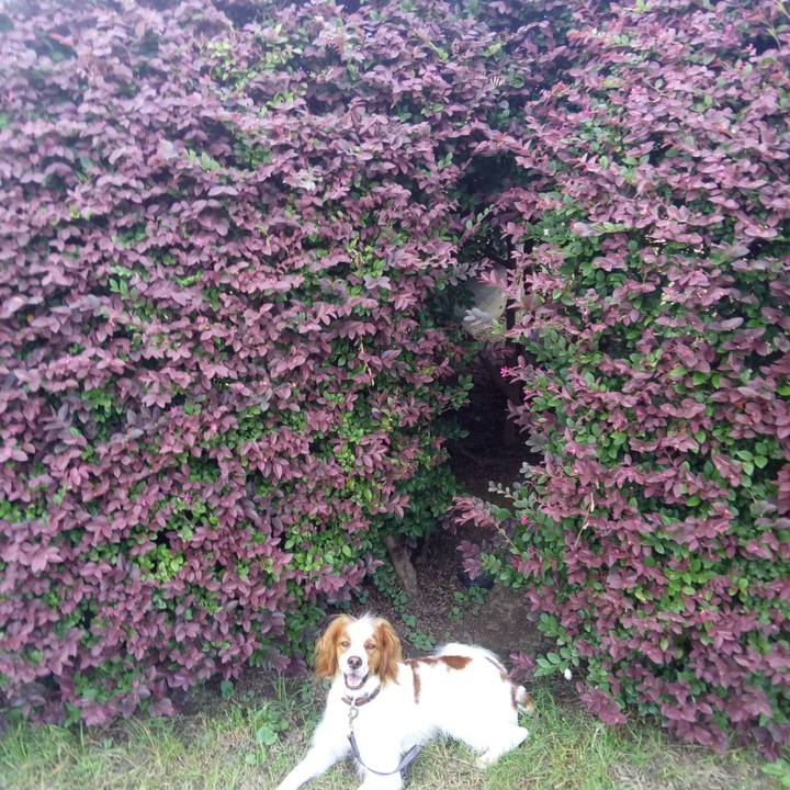 35ba1d1c 86ba 4960 8c4b 0fb635baeae8