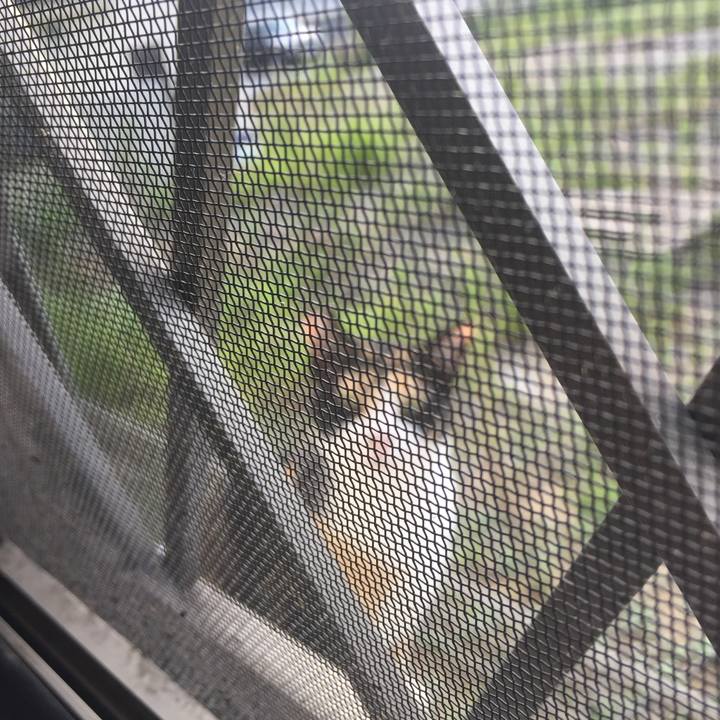 35bafa34 aafc 43fb b9fb 53a6b2b159ae