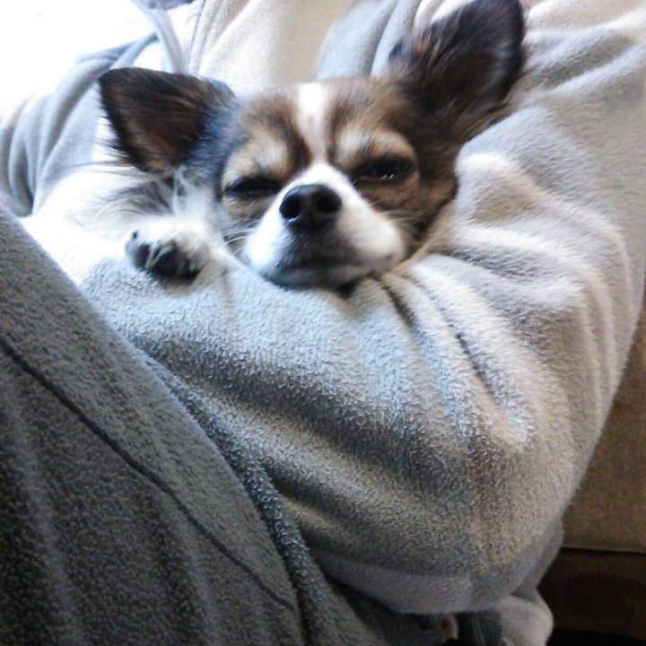 35bb1006 ef22 42fd bb56 1e2910d68da7