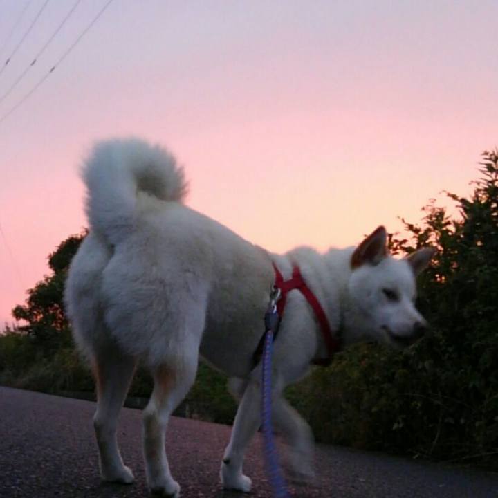 35bb2bf1 98aa 493a bf98 4e6d4ceb9cd2