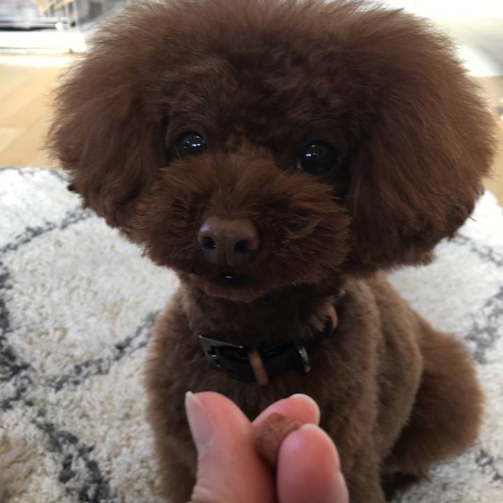 35bb7b9a 3aee 4b89 882e f72f779e7317