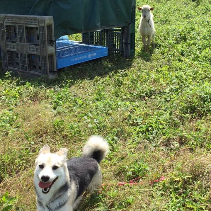 35bbc031 9327 45e3 bbdd c9cc9cf410bb