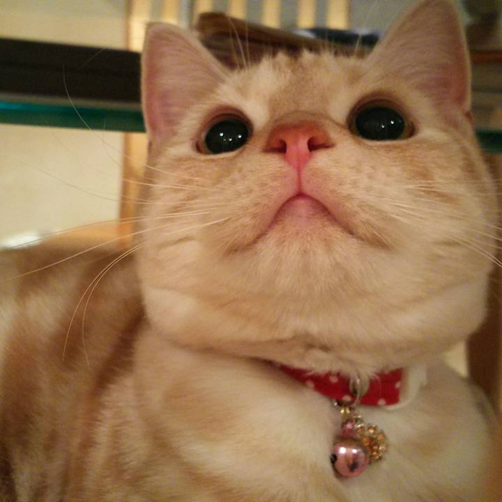 35bc2955 34fb 4715 a52c 458afdfa9b38