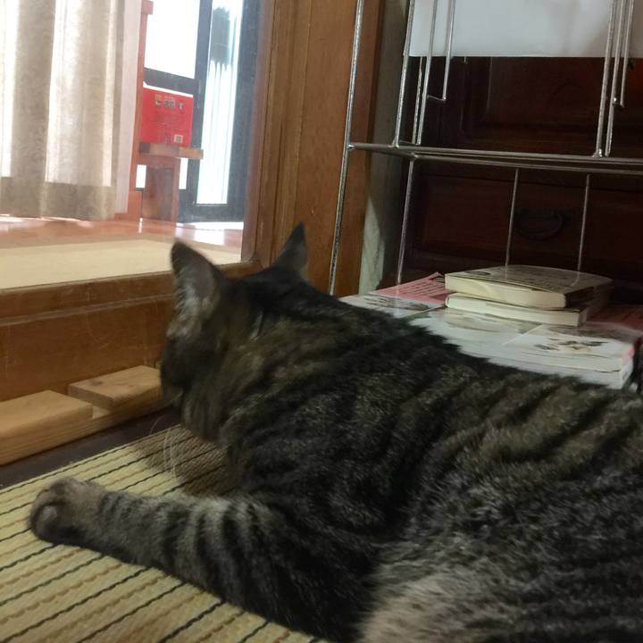 35bc2b30 b314 4d23 b11f 816110968662