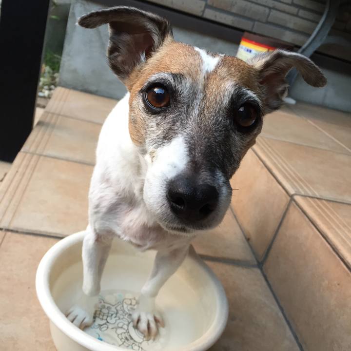 35bc5d85 f679 4b0a 9066 bb6e1fec8dcb