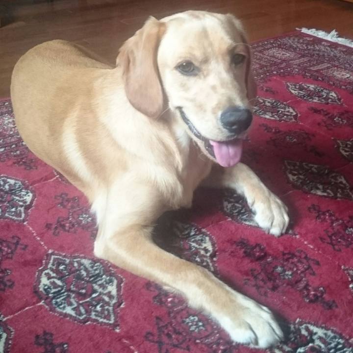 35bd2591 f54e 4ecf a121 5863c28202e2