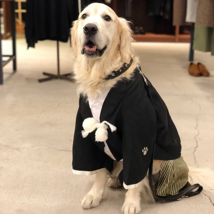 35be1818 ba3f 4fad a980 c857dda83672