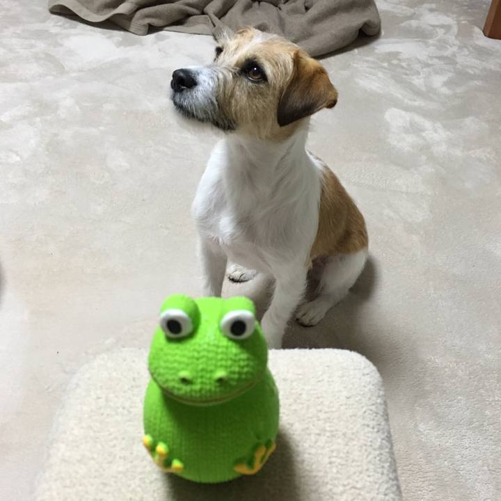 35be2abe 5eec 4f30 9b09 034ea623a75d