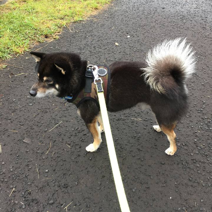 35bebd0a ae1c 457f 8d00 bf55a94a83d8