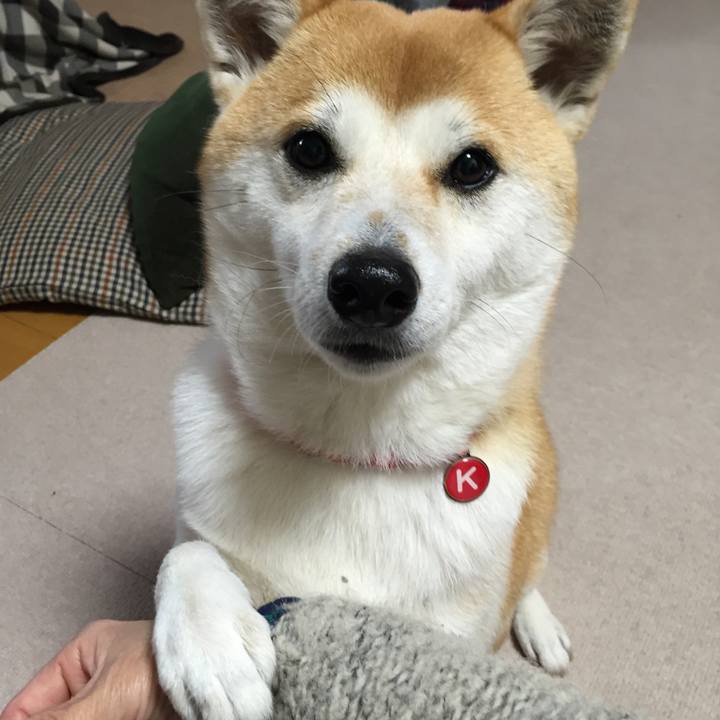 35bf31b7 e3f1 4b6b bc06 895d91800ab9