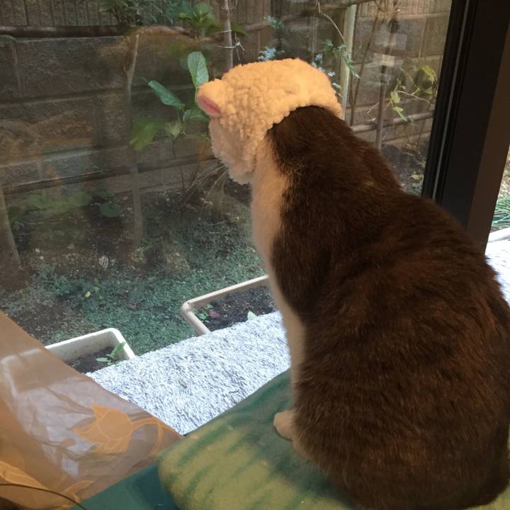 35bf3ef9 0b78 4f2e bf51 38715929c31a