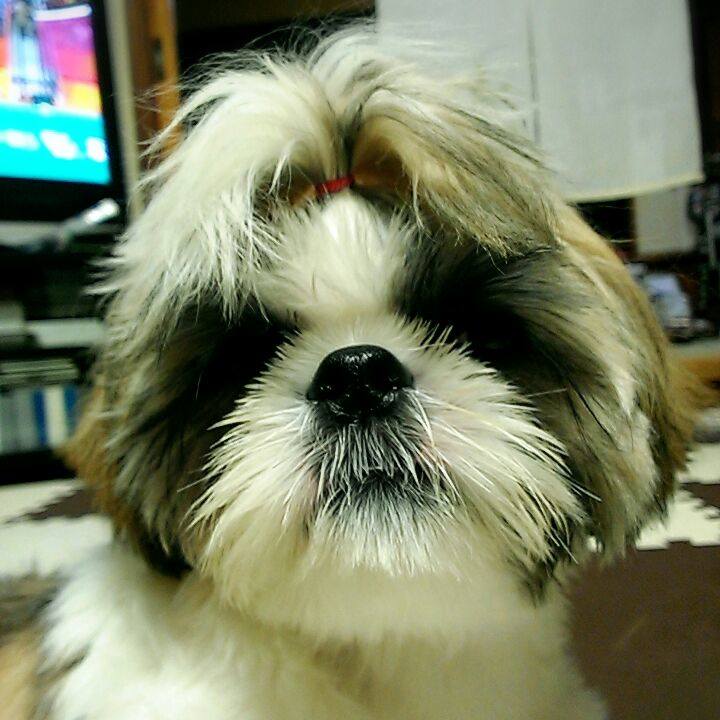 35bfa7fa 4d94 41d2 a43b a5bec6bd516d