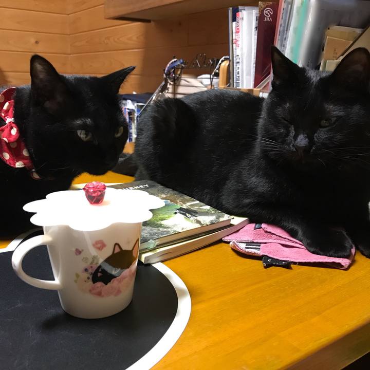 35bfab1f f5d4 4bf1 912c 3a724db4757d