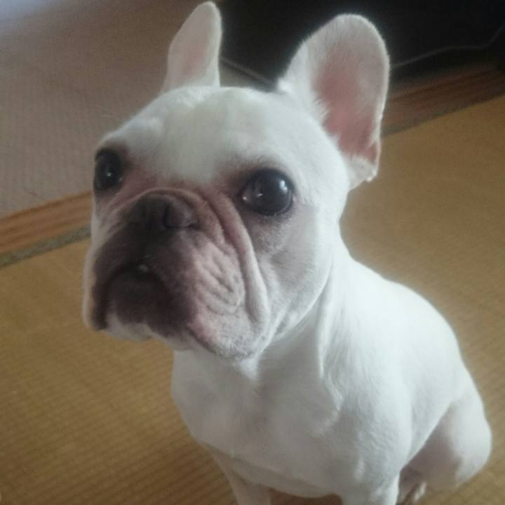 35bff215 1dd5 4d88 8e96 afec3a9550fa