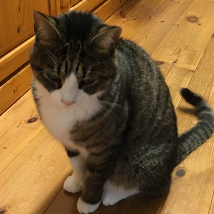 35c07fc9 e499 4b62 b4db 6fb4d6ed0cff