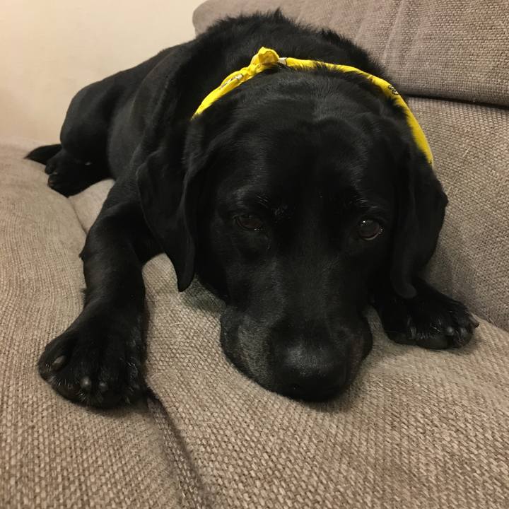 35c125d2 8854 4ef2 99af 26c224fa666a