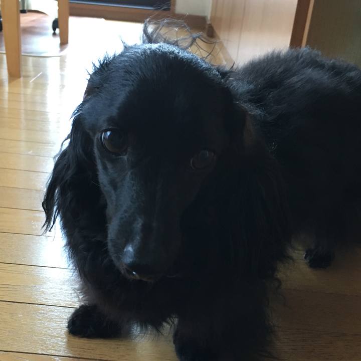 35c16f15 65b6 46be b67c fb5b90066ece