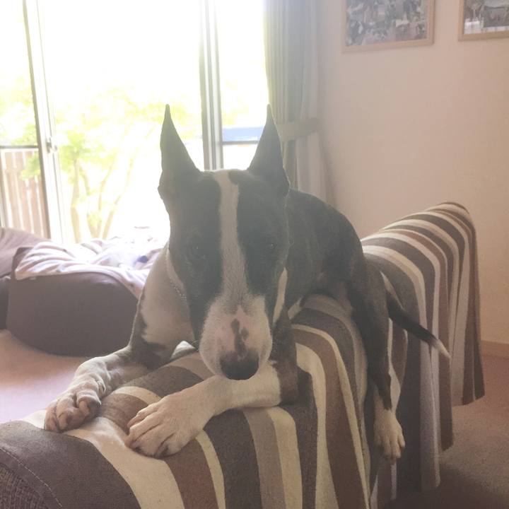 35c1b576 4284 460d b9c2 bfc2bb637ef6