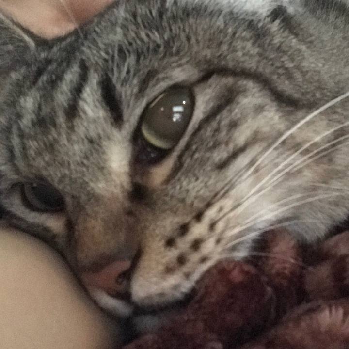 35c231fa 9fd6 434c 9e42 277f04362bee