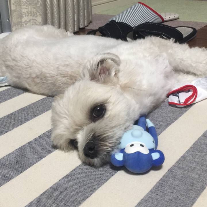 35c2ff46 83ed 4353 94ca 48cb3f25aade