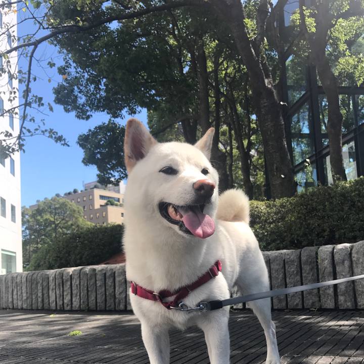 35c32f0a 4f93 4be5 821b 060265d18c37