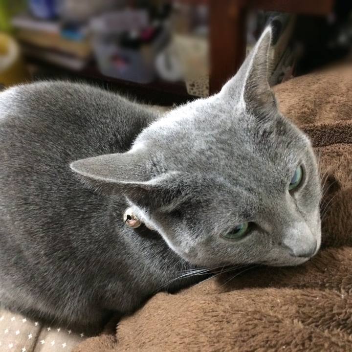 35c3efcb d13f 4e96 9f60 d6b1a38791b3