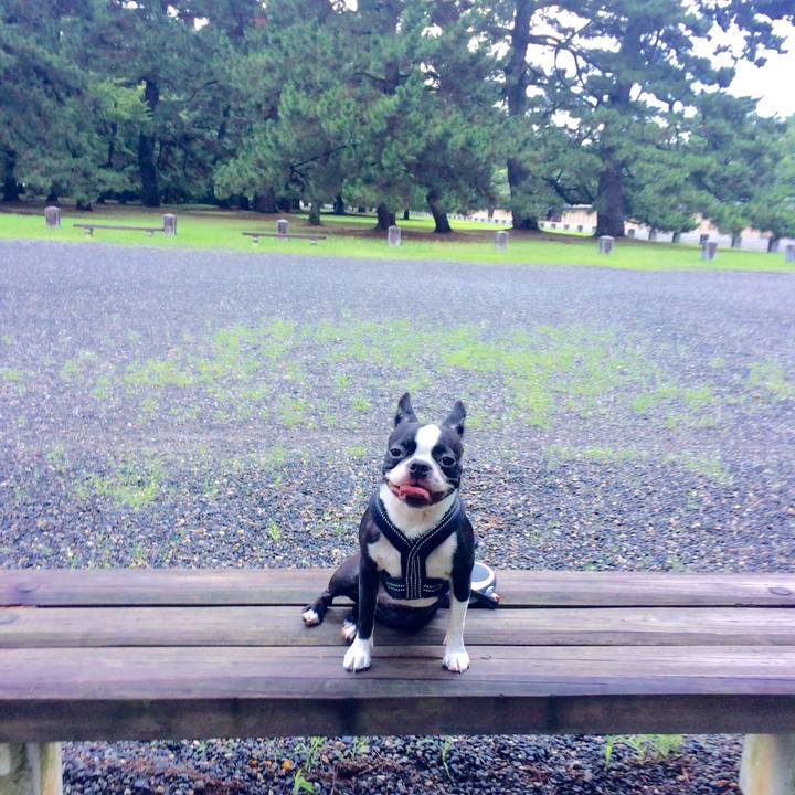 35c4c42c b5b8 40ce 8c03 b231a95842e5