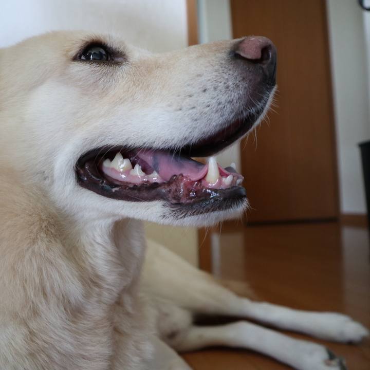 35c4e061 86d4 46b7 9121 9119d8f33786