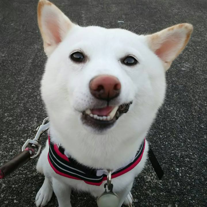 35c4e57c 4366 44a3 8bf2 e30f47be9f62