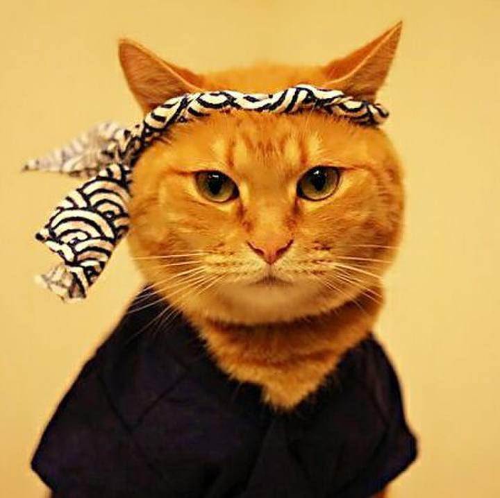 35c4ec6f f181 408f acb9 fcd56dcdeb42