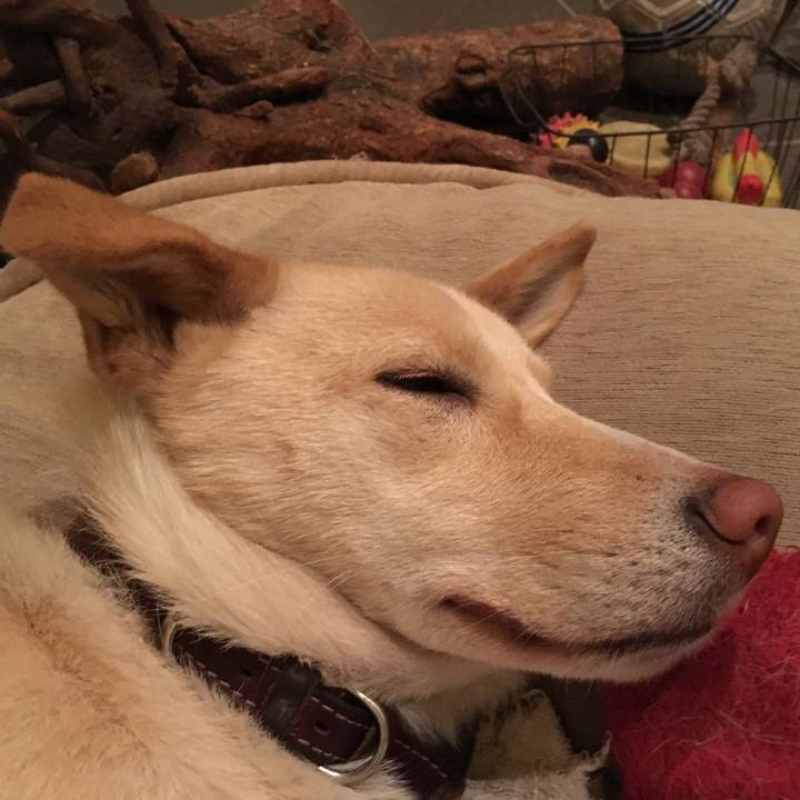 35c56f0f 994e 4178 90da 2c32d51287dd